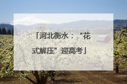 河北衡水：“花式解压”迎高考