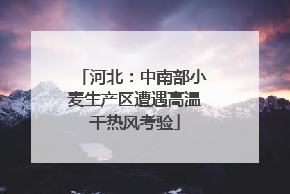 河北：中南部小麦生产区遭遇高温干热风考验