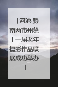 河池·黔南两市州第十一届老年摄影作品联展成功举办