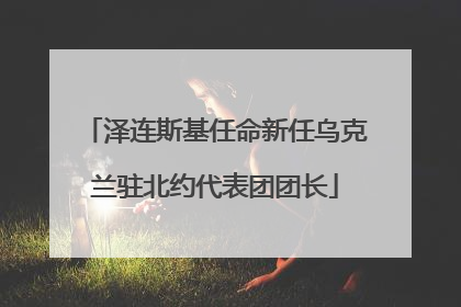 泽连斯基任命新任乌克兰驻北约代表团团长