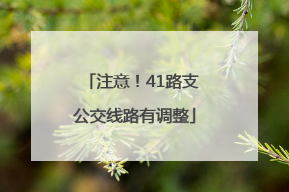 注意！41路支公交线路有调整