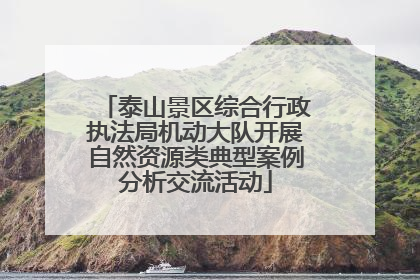 泰山景区综合行政执法局机动大队开展自然资源类典型案例分析交流活动