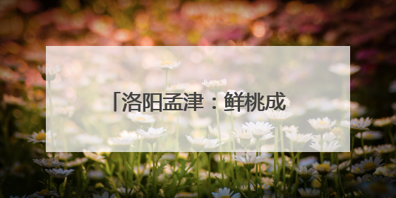 洛阳孟津：鲜桃成熟季 采摘正当时