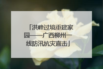 洪峰过境重建家园——广西柳州一线防汛抗灾直击