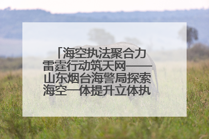 海空执法聚合力 雷霆行动筑天网——山东烟台海警局探索海空一体提升立体执法效能纪实