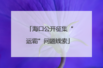 海口公开征集“运霸”问题线索