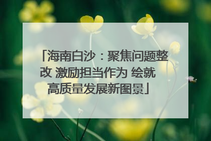 海南白沙：聚焦问题整改 激励担当作为 绘就高质量发展新图景