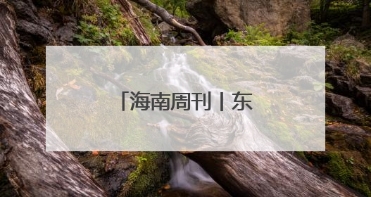 海南周刊丨东方墩头村：港水环墩仓廪实