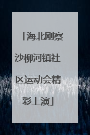 海北刚察沙柳河镇社区运动会精彩上演
