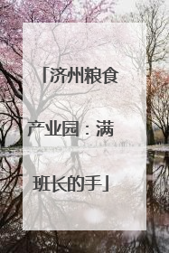 济州粮食产业园：满班长的手