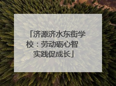 济源济水东街学校：劳动砺心智 实践促成长