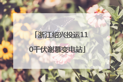 浙江绍兴投运110千伏谢慕变电站