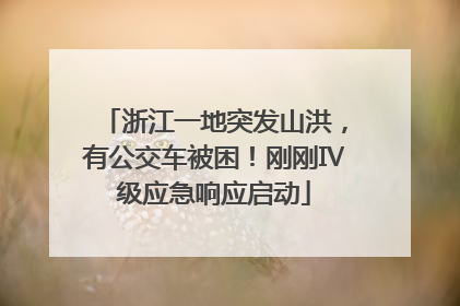 浙江一地突发山洪，有公交车被困！刚刚Ⅳ级应急响应启动