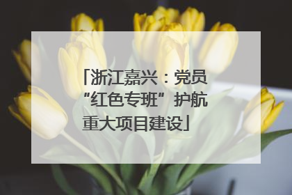 浙江嘉兴：党员“红色专班”护航重大项目建设
