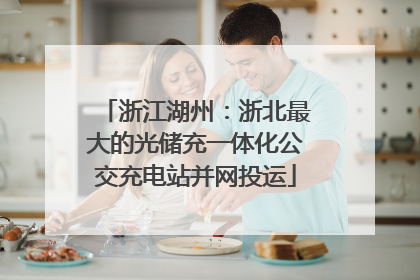 浙江湖州：浙北最大的光储充一体化公交充电站并网投运