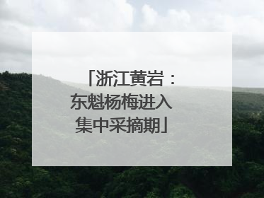 浙江黄岩：东魁杨梅进入集中采摘期