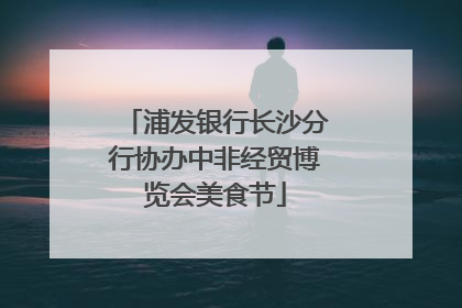 浦发银行长沙分行协办中非经贸博览会美食节