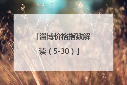 淄博价格指数解读（5-30）