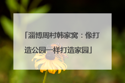 淄博周村韩家窝：像打造公园一样打造家园