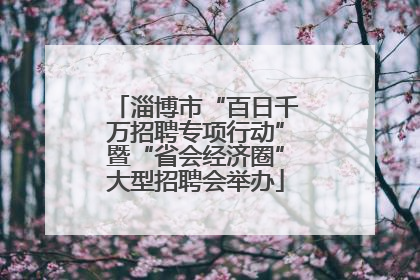 淄博市“百日千万招聘专项行动”暨“省会经济圈”大型招聘会举办