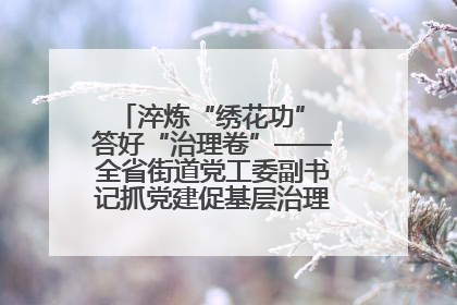 淬炼“绣花功” 答好“治理卷”——全省街道党工委副书记抓党建促基层治理培训示范班侧记