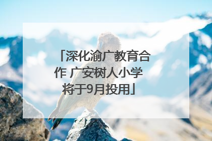 深化渝广教育合作 广安树人小学将于9月投用