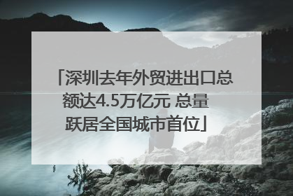 深圳去年外贸进出口总额达4.5万亿元 总量跃居全国城市首位