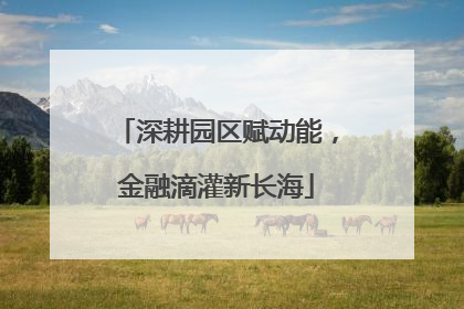 深耕园区赋动能，金融滴灌新长海