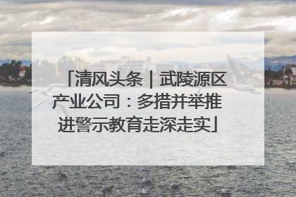 清风头条｜武陵源区产业公司：多措并举推进警示教育走深走实