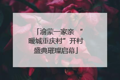 渝蒙一家亲 “暖城重庆村”开村盛典璀璨启幕