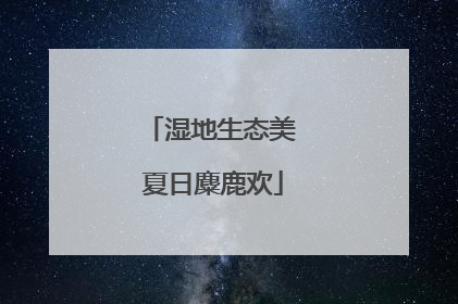 湿地生态美 夏日麋鹿欢