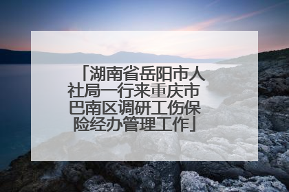 湖南省岳阳市人社局一行来重庆市巴南区调研工伤保险经办管理工作