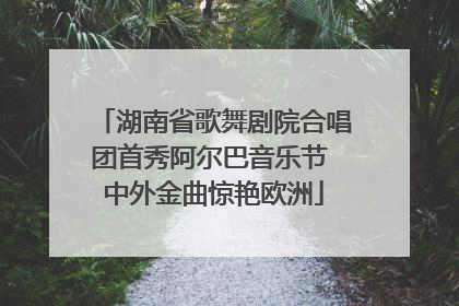 湖南省歌舞剧院合唱团首秀阿尔巴音乐节 中外金曲惊艳欧洲