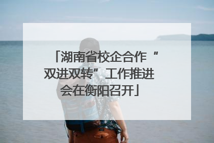 湖南省校企合作“双进双转”工作推进会在衡阳召开