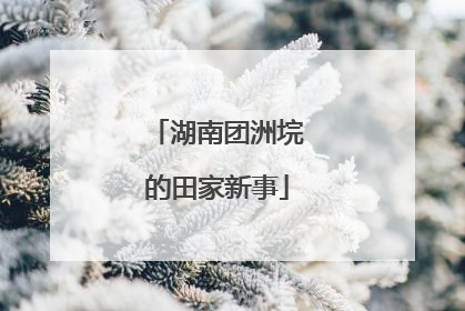 湖南团洲垸的田家新事