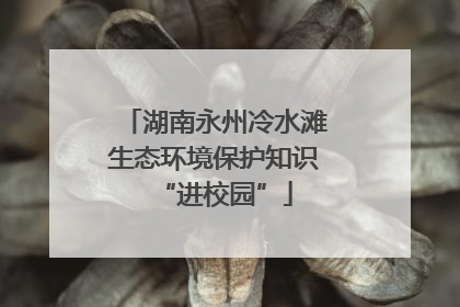湖南永州冷水滩生态环境保护知识“进校园”