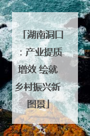 湖南洞口：产业提质增效 绘就乡村振兴新图景