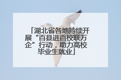 湖北省各地持续开展“百县进百校联万企”行动，助力高校毕业生就业