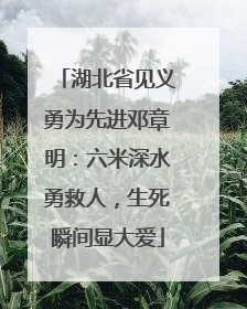 湖北省见义勇为先进邓章明：六米深水勇救人，生死瞬间显大爱
