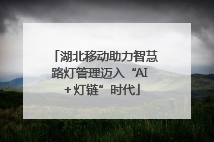 湖北移动助力智慧路灯管理迈入“AI＋灯链”时代
