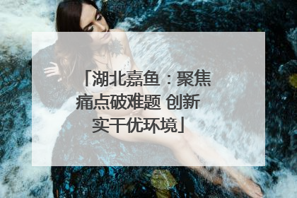 湖北嘉鱼：聚焦痛点破难题 创新实干优环境