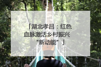 湖北孝昌：红色血脉激活乡村振兴“新动能”