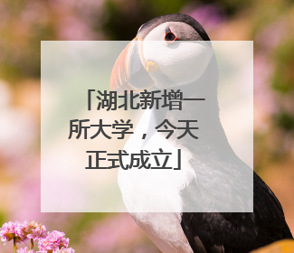 湖北新增一所大学，今天正式成立