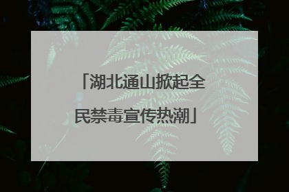湖北通山掀起全民禁毒宣传热潮