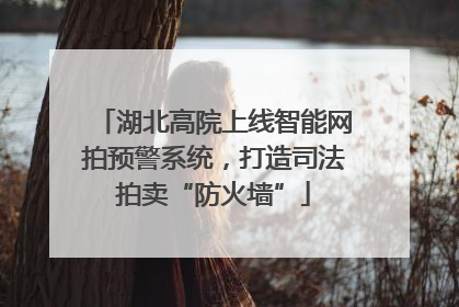 湖北高院上线智能网拍预警系统，打造司法拍卖“防火墙”