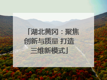 湖北黄冈：聚焦创新与质量 打造三维新模式