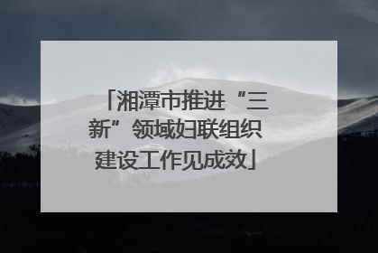 湘潭市推进“三新”领域妇联组织建设工作见成效