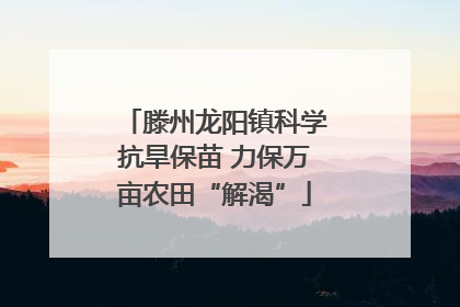 滕州龙阳镇科学抗旱保苗 力保万亩农田“解渴”