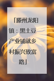 滕州龙阳镇：黑土豆产业铺就乡村振兴致富路