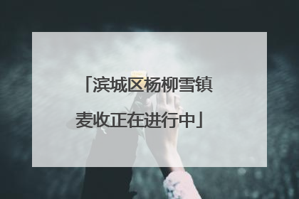 滨城区杨柳雪镇麦收正在进行中